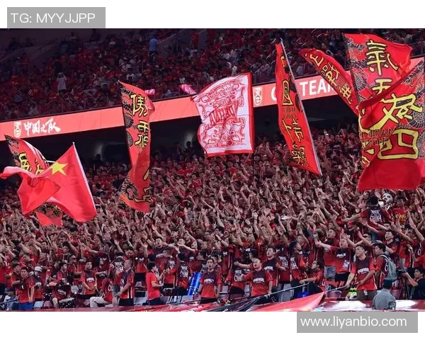 新余足球队球员名单及其在中国足球中的地位分析